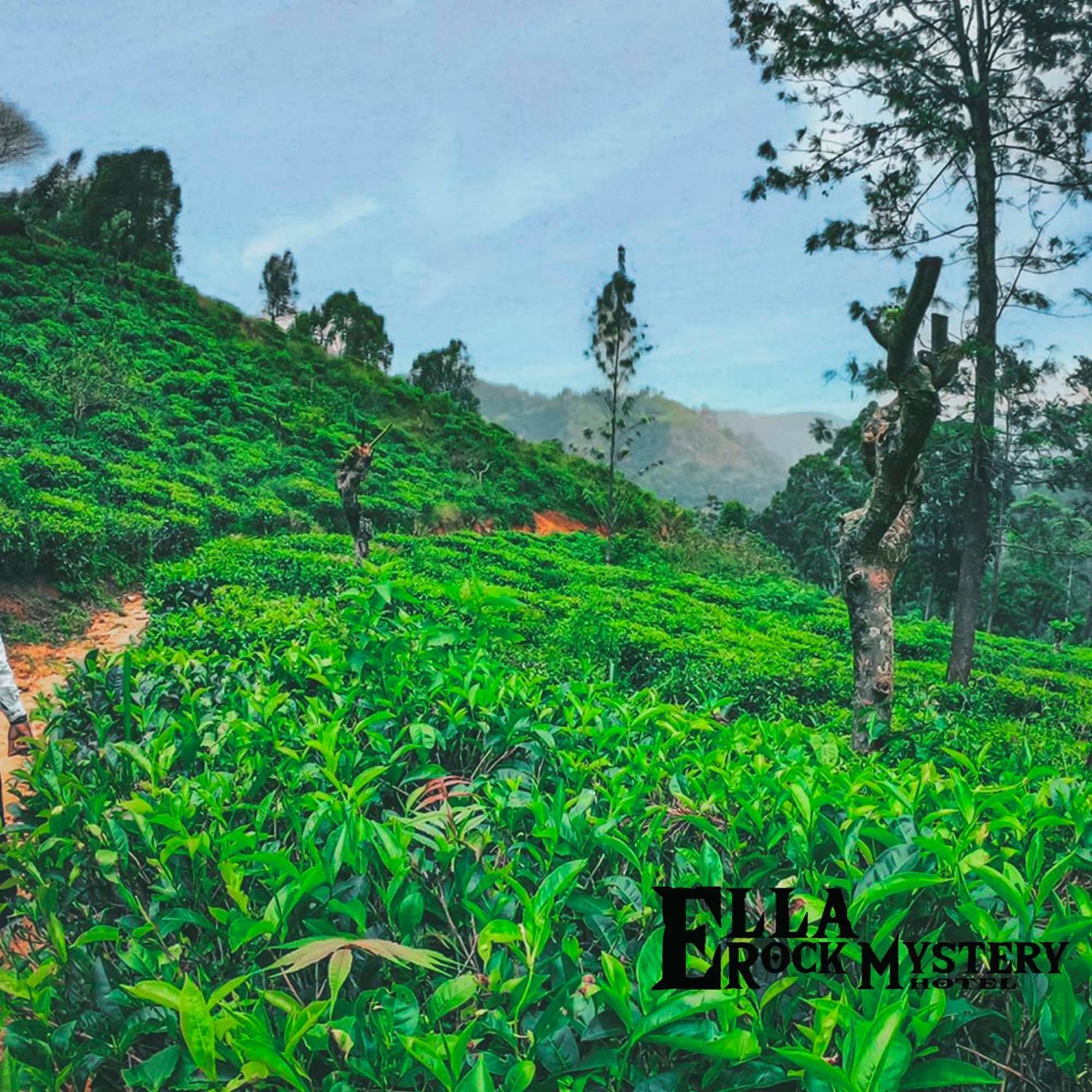 Ella Rock Mystery Guest Hotel Luaran gambar